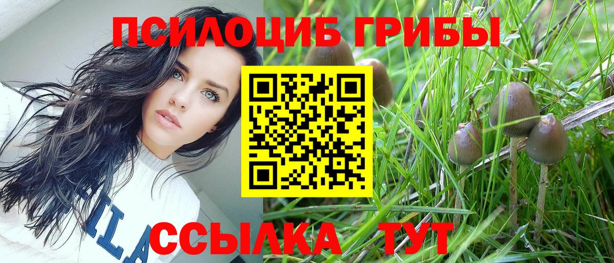 Псилоцибиновые грибы мухоморы  Вход с VPN  Шатура 